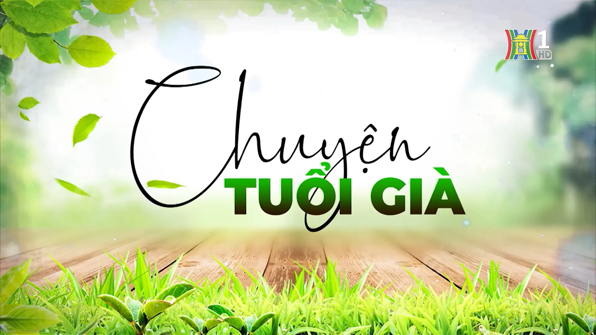 Vai trò phụ nữ cao tuổi trong gia đình và xã hội | Chuyện tuổi già | 27/07/2025
